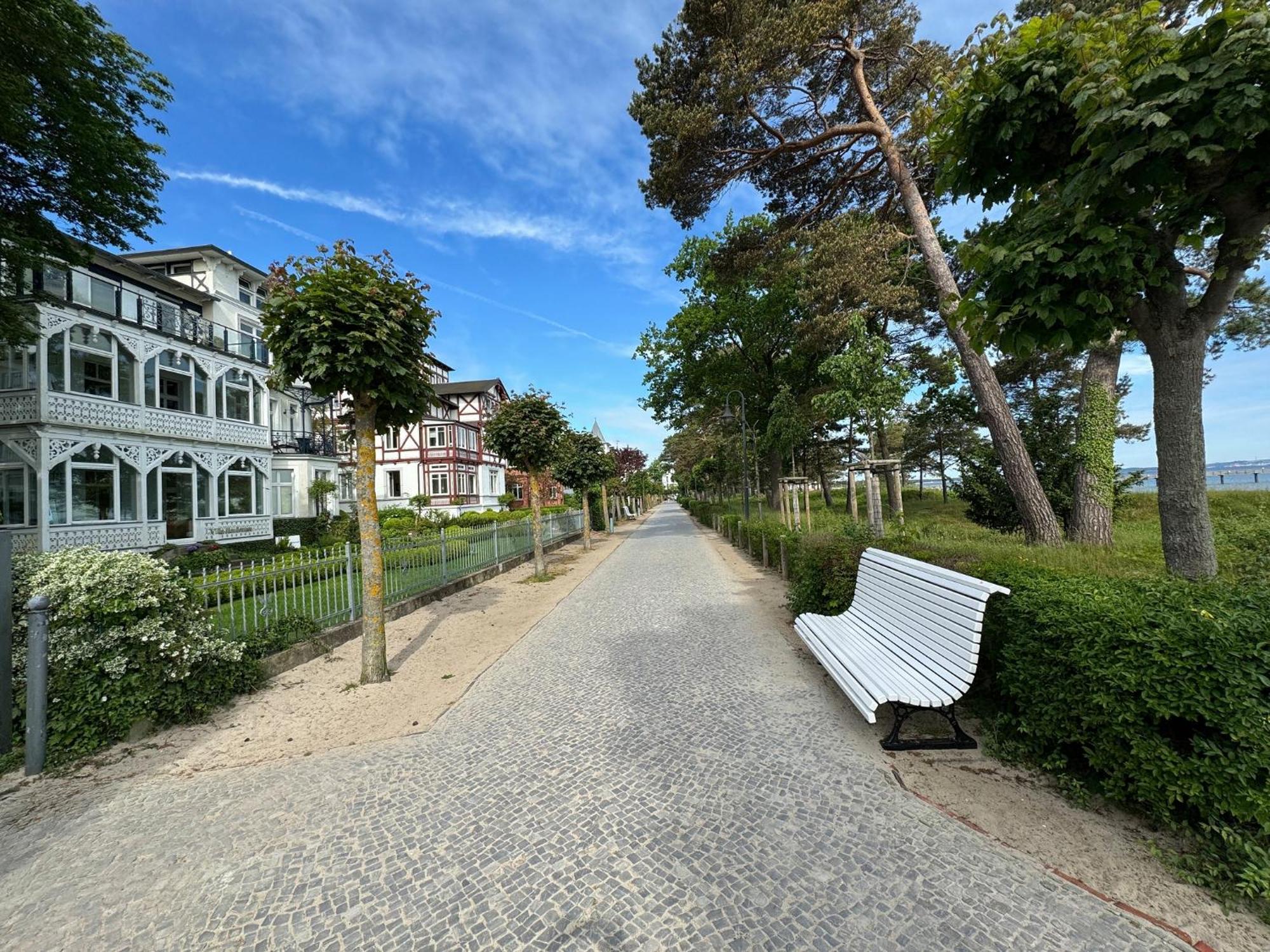 Duenengold In Der Haiderose *